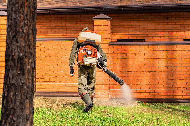 Bed Bug Clearance Verification and Documentation in Surfside Beach